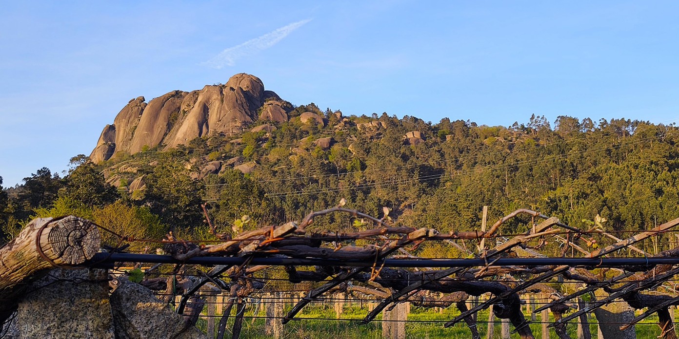 BUDINO. FARO DE BUDINO IMG_20250328_192616.jpg