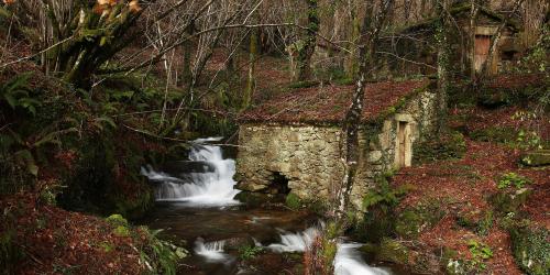 CHENLO. MUINOS DE CHENLO Q55A7571.jpg