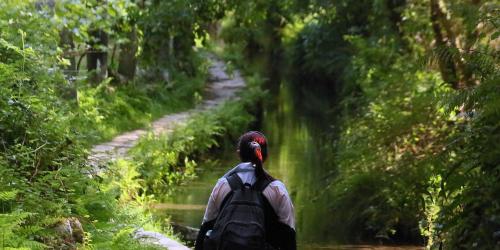 PONTELLAS. POLDRA DE BETATE Q55A2103.jpg