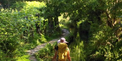 PONTELLAS. POLDRA DE PETATE Q55A5588.jpg